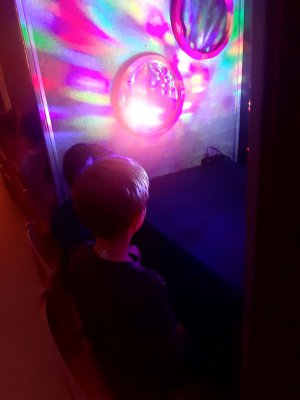 "Kotki" w sali światła